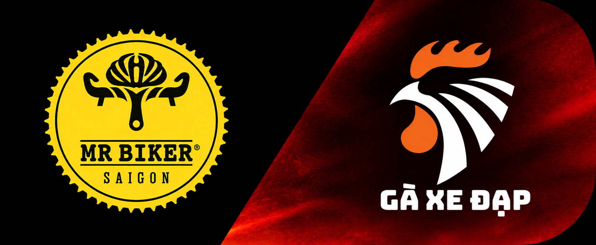 Logo website