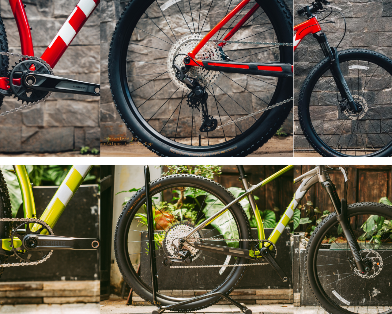 So sánh Trek Procaliber 6 và Trek Procaliber 8: 5 Điểm Khác Biệt Lớn Nhất Bạn Cần Biết!