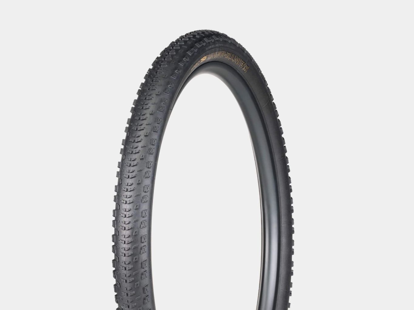 Vỏ 29x2.2 Bontrager Sainte Anne RSL XR
